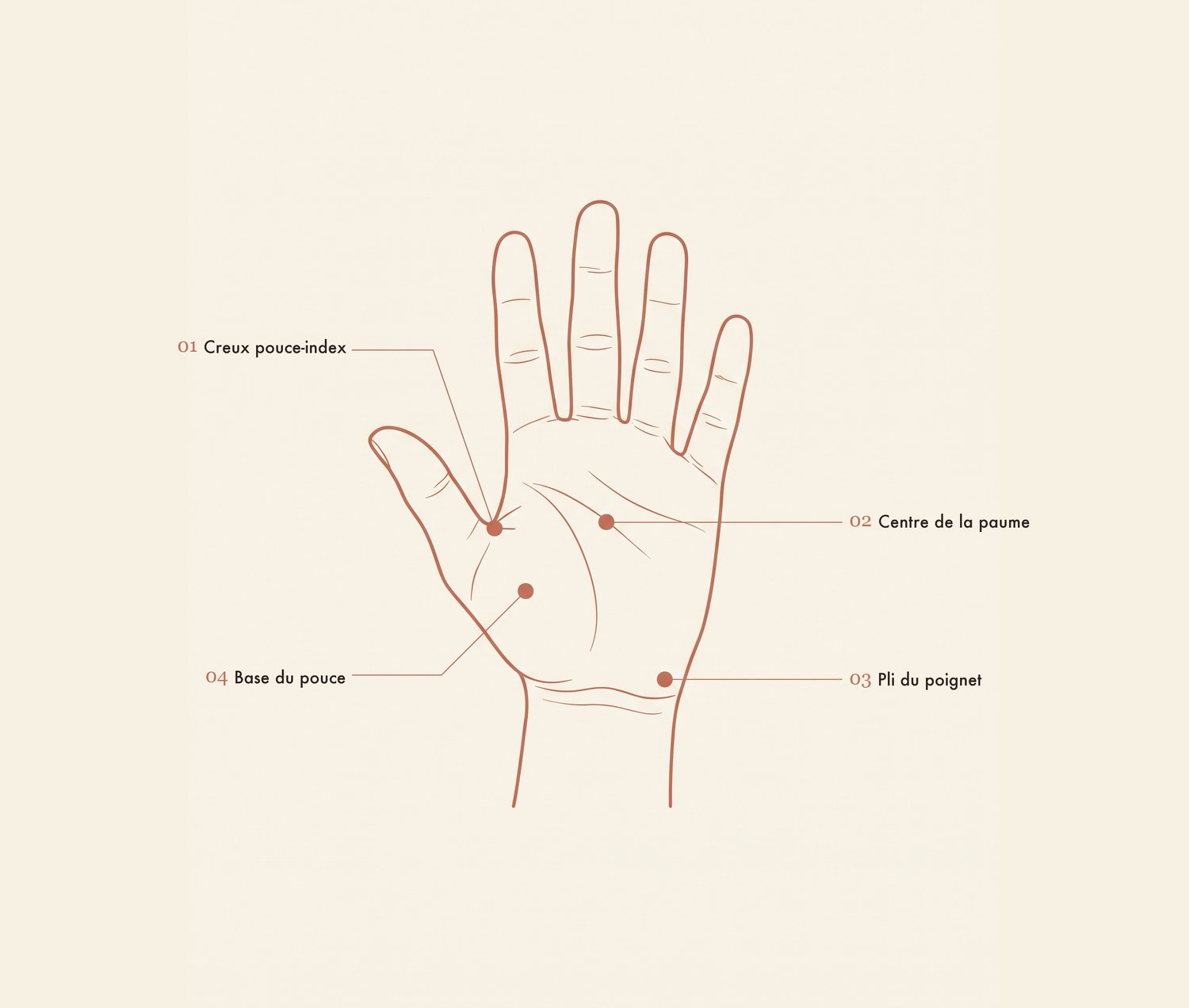 Schéma de la main et des quatre points d'acupression du guide